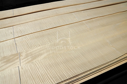 Натуральный шпон Сикоморо FRISSE Натуральный шпон Сикоморо FRISSE