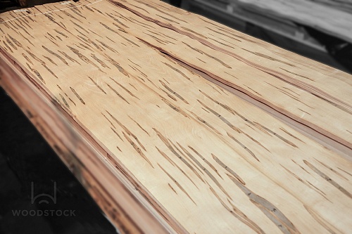 Натуральный шпон Клен Gusano Натуральный шпон Клен Gusano