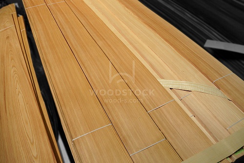 Лиственница Лиственница