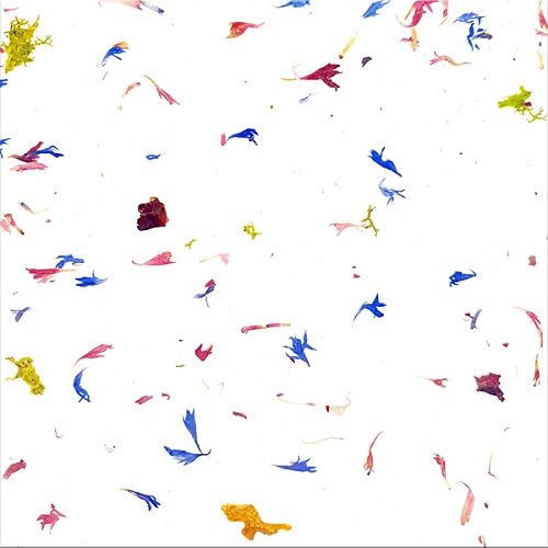 Экополотно ORGANOID Горный Василек и Лойташ Экополотно ORGANOID Горный Василек и Лойташ