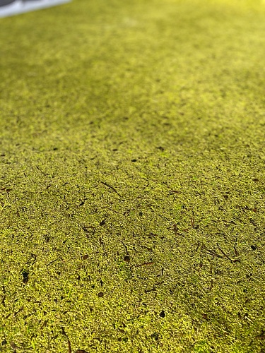 Экополотно ORGANOID Мох Лойташ MOUS HELLGRIAN Экополотно ORGANOID Мох Лойташ MOUS HELLGRIAN