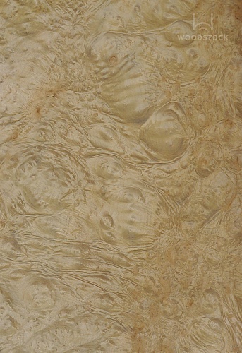 Натуральный шпон Мирт корень Натуральный шпон Мирт корень