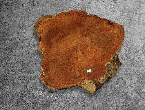 Слэбы Ярра, корень Слэбы Ярра, корень