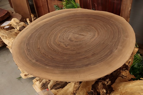 Орех Американский (торцевой срез) Орех Американский (торцевой срез)