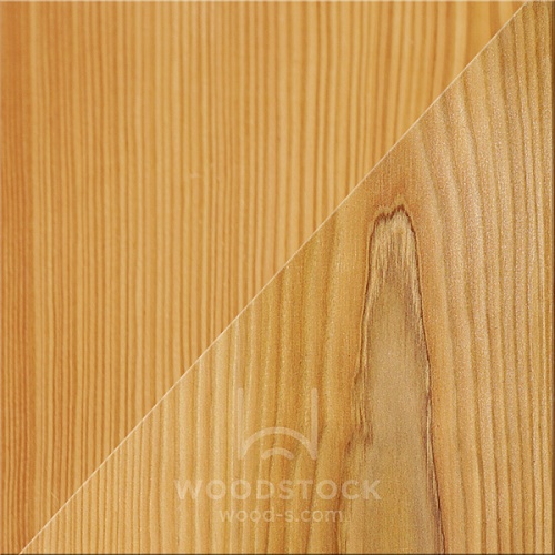 Лиственница Лиственница