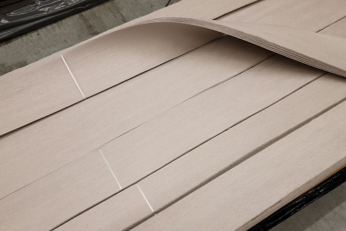 Дуб 13.033 Дуб 13.033