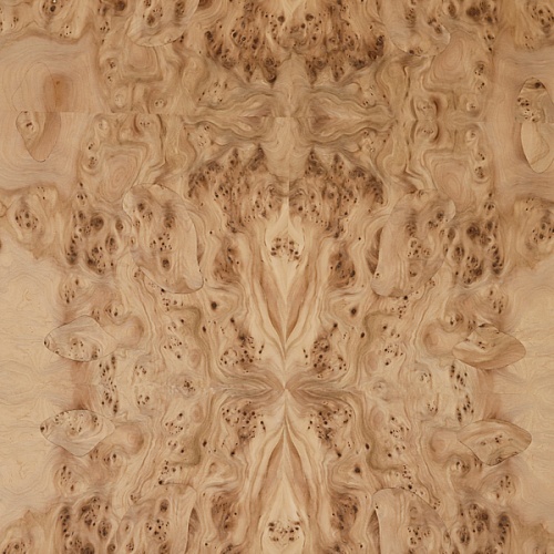 Сращенный шпон Ильм корень Сращенный шпон Ильм корень