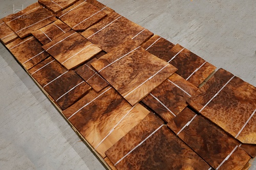 Натуральный шпон Камфора корень