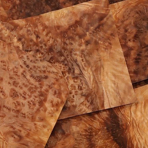 Натуральный шпон Камфора корень