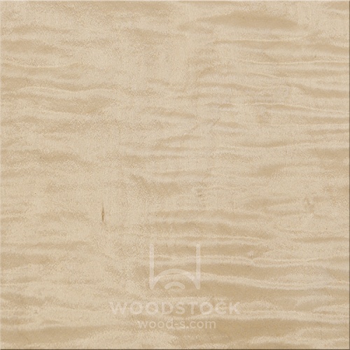 Натуральный шпон Клён CURLY Натуральный шпон Клён CURLY