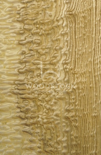 Натуральный шпон Тамо Натуральный шпон Тамо