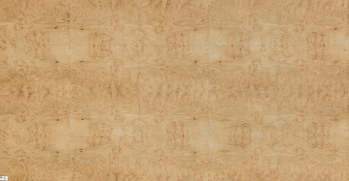 Сращенный шпон Каштан корень Сращенный шпон Каштан корень