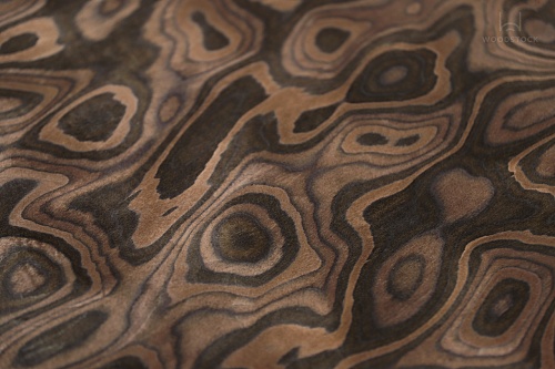 Коллекция ESPRESSO Мультишпон 700V Коллекция ESPRESSO Мультишпон 700V