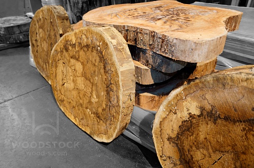 Поперечные срезы дерева Поперечные срезы дерева