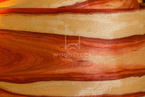 Натуральный шпон Такула Натуральный шпон Такула