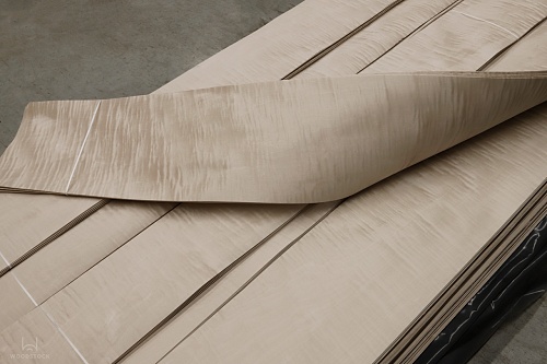 Клён Сикомора 09.S.026 Клён Сикомора 09.S.026