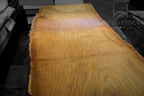 Пиломатериалы Афромозия, слэб