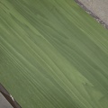 Обои SKEENS SK11 Bolivar MOSS GREEN