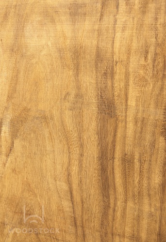 Парота, слэб Парота, слэб