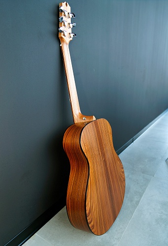 Другие формы Гитарная заготовка Pau Ferro