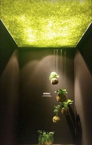 Экополотно ORGANOID Мох Лойташ MOUS HELLGRIAN Экополотно ORGANOID Мох Лойташ MOUS HELLGRIAN