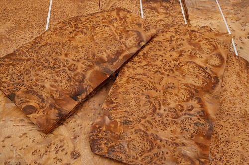 Натуральный шпон Туя корень Натуральный шпон Туя корень