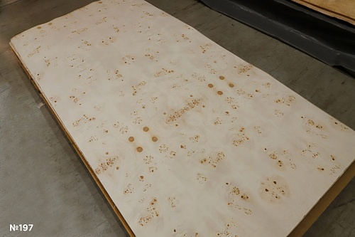 Сращенный шпон Тополь корень Сращенный шпон Тополь корень