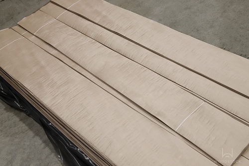 Клён Сикомора 09.S.026 Клён Сикомора 09.S.026