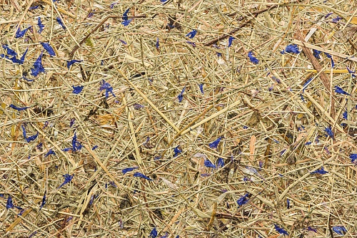 Экополотно ORGANOID Альпийские луга Горного Василька Экополотно ORGANOID Альпийские луга Горного Василька