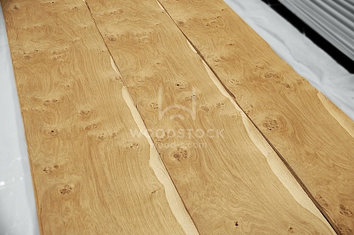 Натуральный шпон Дуб Swirl (Pepper) Натуральный шпон Дуб Swirl (Pepper)