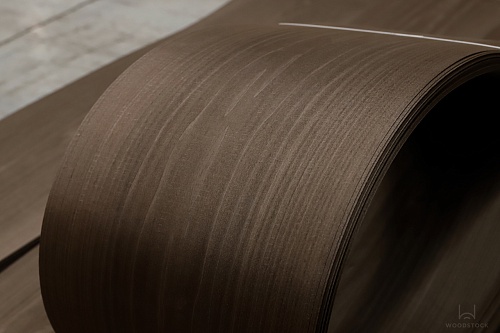 Тополь 52.055 Тополь 52.055