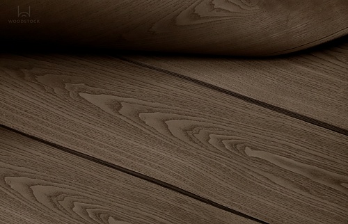 Ясень 26.005 Ясень 26.005