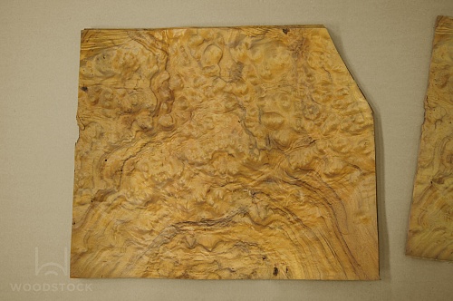 Натуральный шпон Имбайя корень Натуральный шпон Имбайя корень