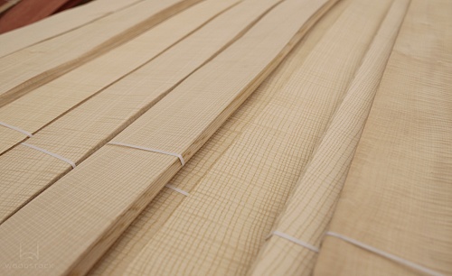 Ясень Белый Frisse Ясень Белый Frisse