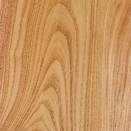 Акация Акация