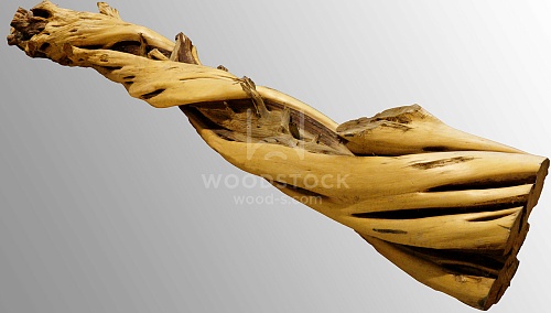 Другие формы Можжевельник [Juniper]