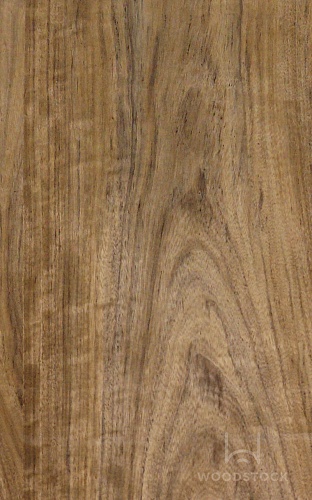 Натуральный шпон Даниэлла Натуральный шпон Даниэлла