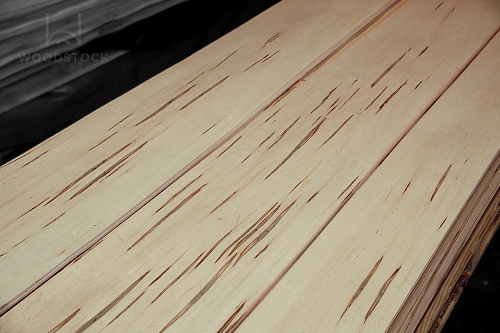 Натуральный шпон Клен Gusano Натуральный шпон Клен Gusano