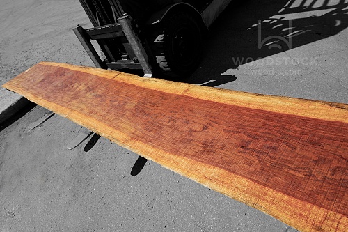 Слэбы Анжелим [Angelim]