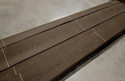 Ясень 26.005 Ясень 26.005