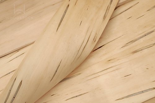 Натуральный шпон Клен Gusano Натуральный шпон Клен Gusano