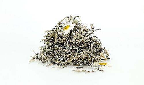 Экополотно ORGANOID Дикий Ягель Маргарита Экополотно ORGANOID Дикий Ягель Маргарита