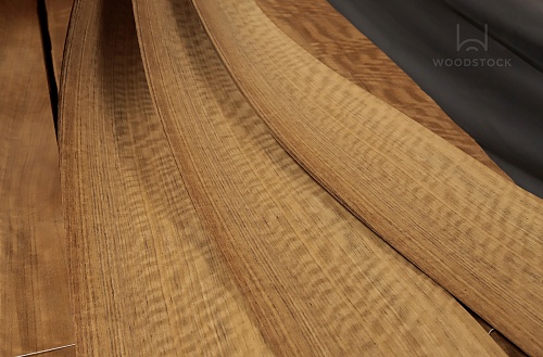 Даниэлла Frisse Даниэлла Frisse