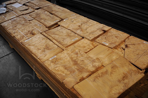 Натуральный шпон Тис корень