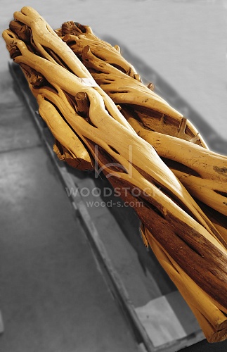 Другие формы Можжевельник [Juniper]