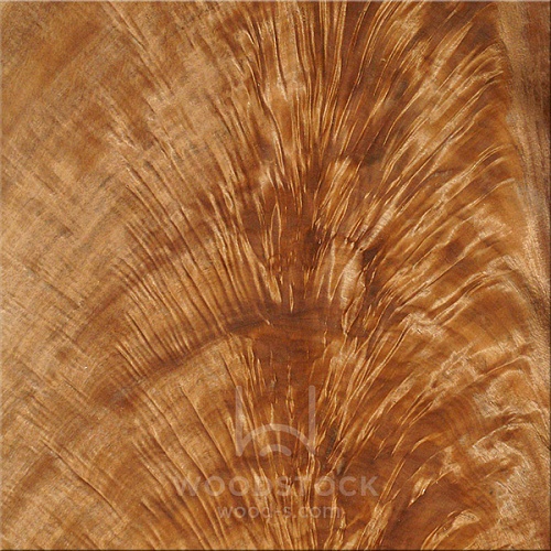 Натуральный шпон Макоре «пирамида» Натуральный шпон Макоре «пирамида»