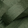 Клён Птичий глаз 05.079