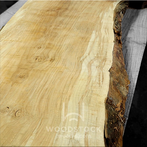 Слэбы Клён Слэбы Клён