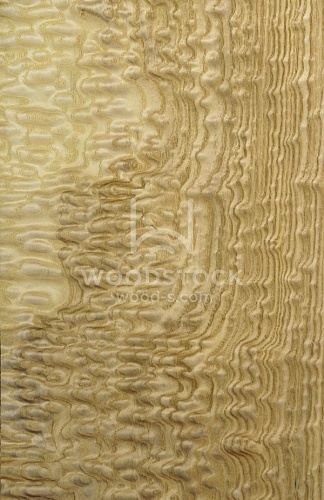 Натуральный шпон Тамо Натуральный шпон Тамо