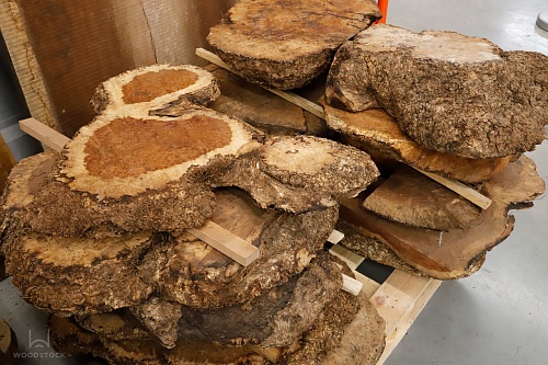 Амбойна корень